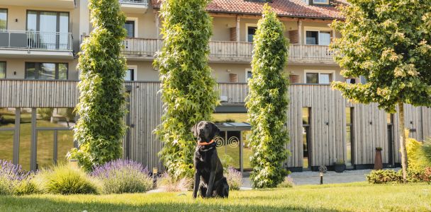 Schwarzer Labrador "Xaver" sitzt vorm Hotel