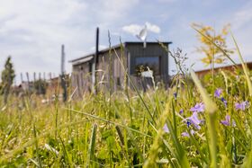 Blick aufs Tinymobil von der Wiese aus