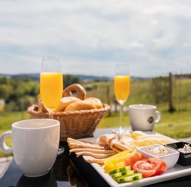 Frühstück vorm Tinymobil mit Blick auf das Donautal