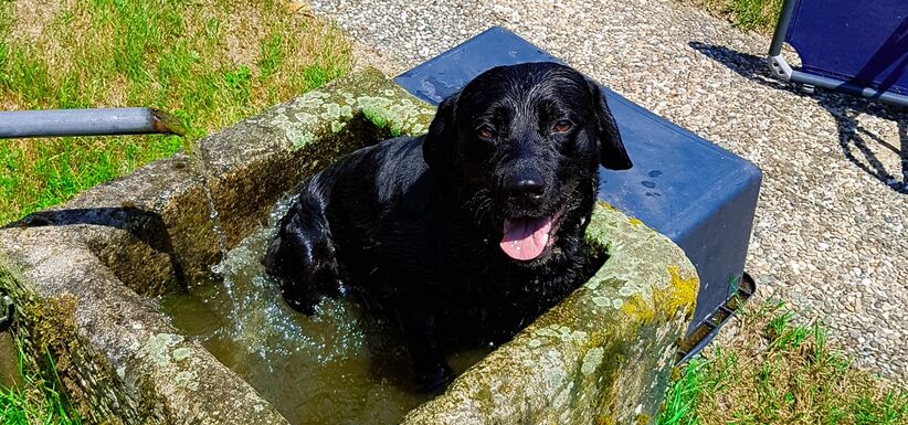 Wellnessurlaub: Xavers Kurzwellness