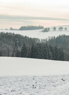Winterlandschaft