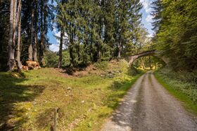 Idyllischer Wanderweg