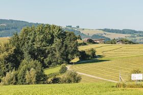 Herrliche Landschaft