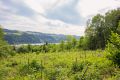 Blick auf unsere Baumbepflanzung