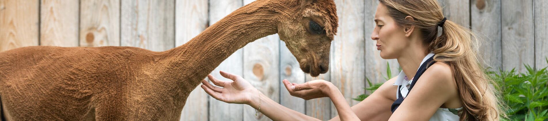 Frau hockt vor Alpaka und streichelt es