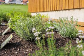 Eigener Kräutergarten