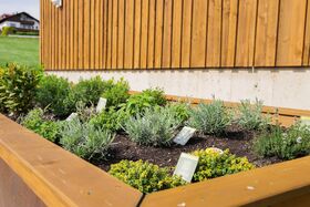 Eigener Kräutergarten