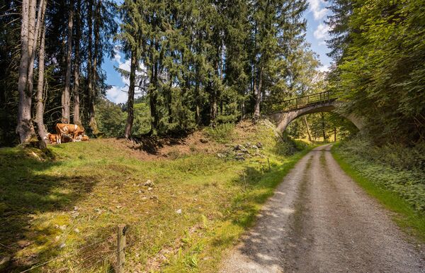 Idyllischer Wanderweg