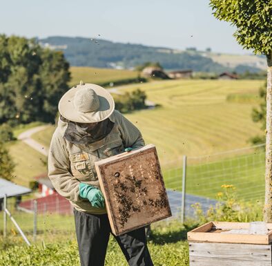 Imker bei der Arbeit am Bienenstock
