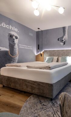 Bild zum Zimmer Doppelzimmer Alpaka