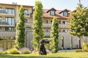 Unser Hund Xaver vorm Hotel