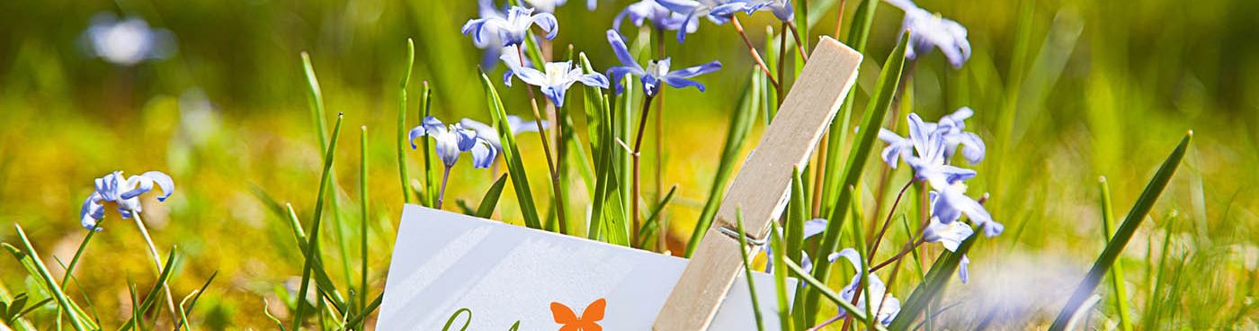 Frühling - Bild 1