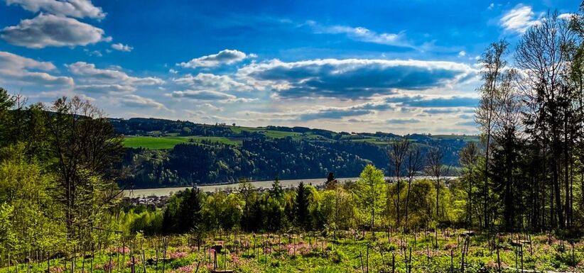 Wellnessurlaub: Wanderwoche 7 Nächte