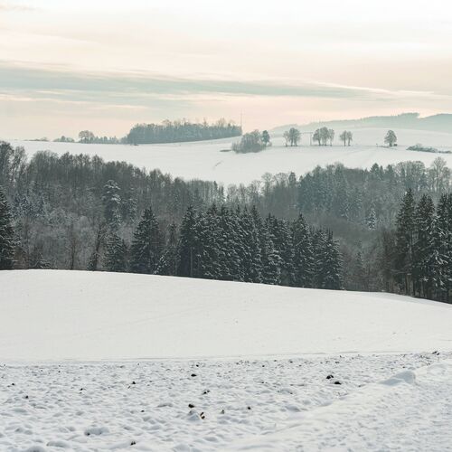 Winterlandschaft