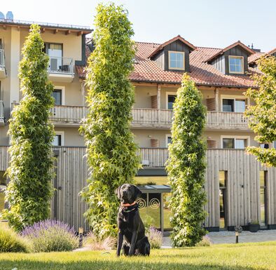 Labradorrüde vorm Hotel