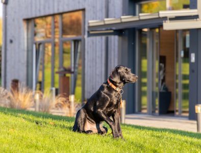 Unser schwarzer Labradorrüde Xaver vorm Hoteleingang