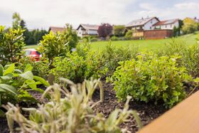 Eigener Kräutergarten