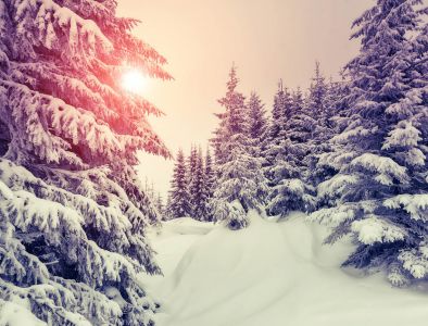 Im Winter Im Winter