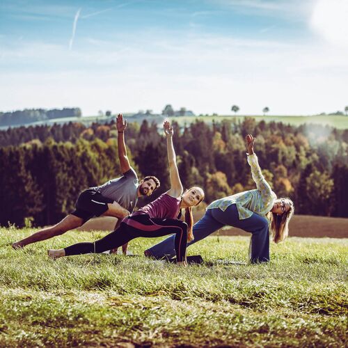 Qi Gong in der Natur