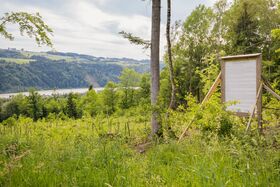 Nachhaltigkeitsschild im Wald