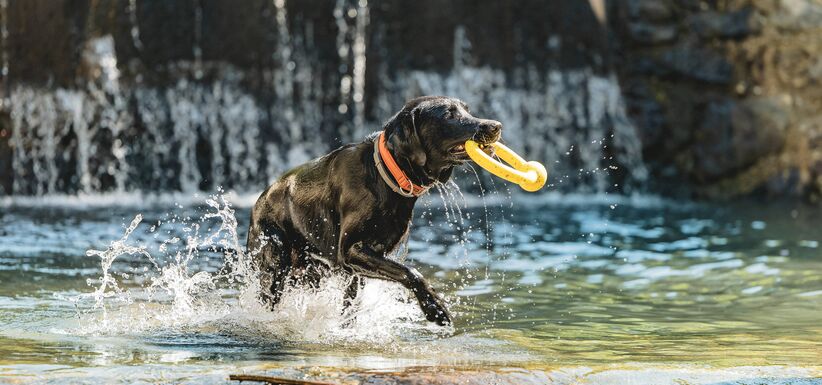 Wellnessurlaub: Xavers Kurzwellness