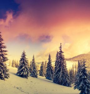 Wellnessurlaub im Winter Winter