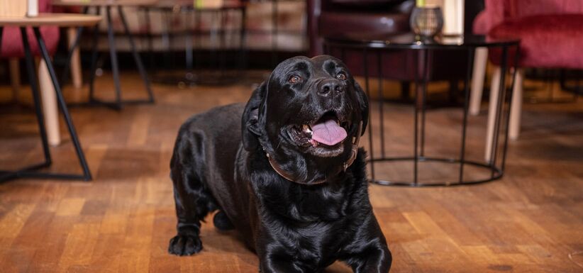 Wellnessurlaub: Xavers Sonnentage 5 Nächte