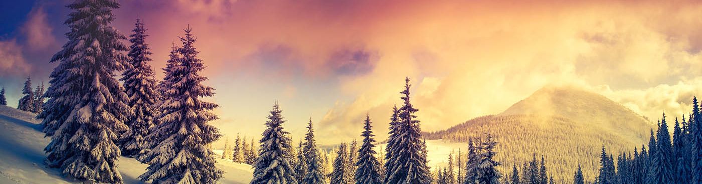 Winter - Bild 1